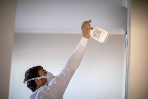 Best Attic Mold Removal  in Chula Vista, TX