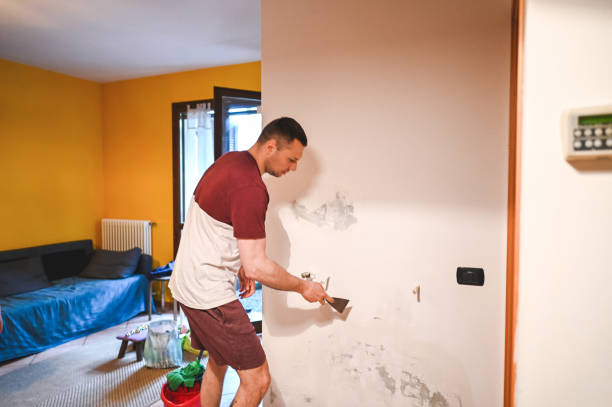 Best Fast Mold Removal  in Chula Vista, TX